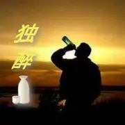 独醉🍶
