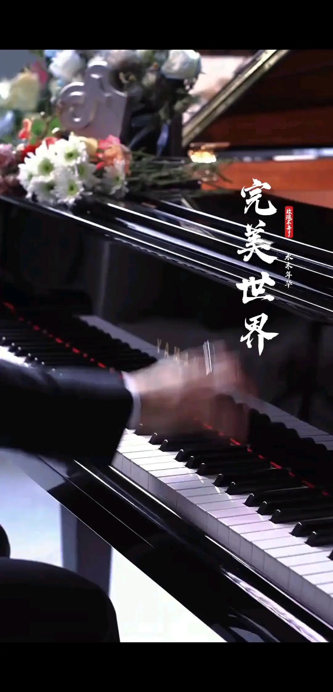 🎵音乐🎶钢琴小王子