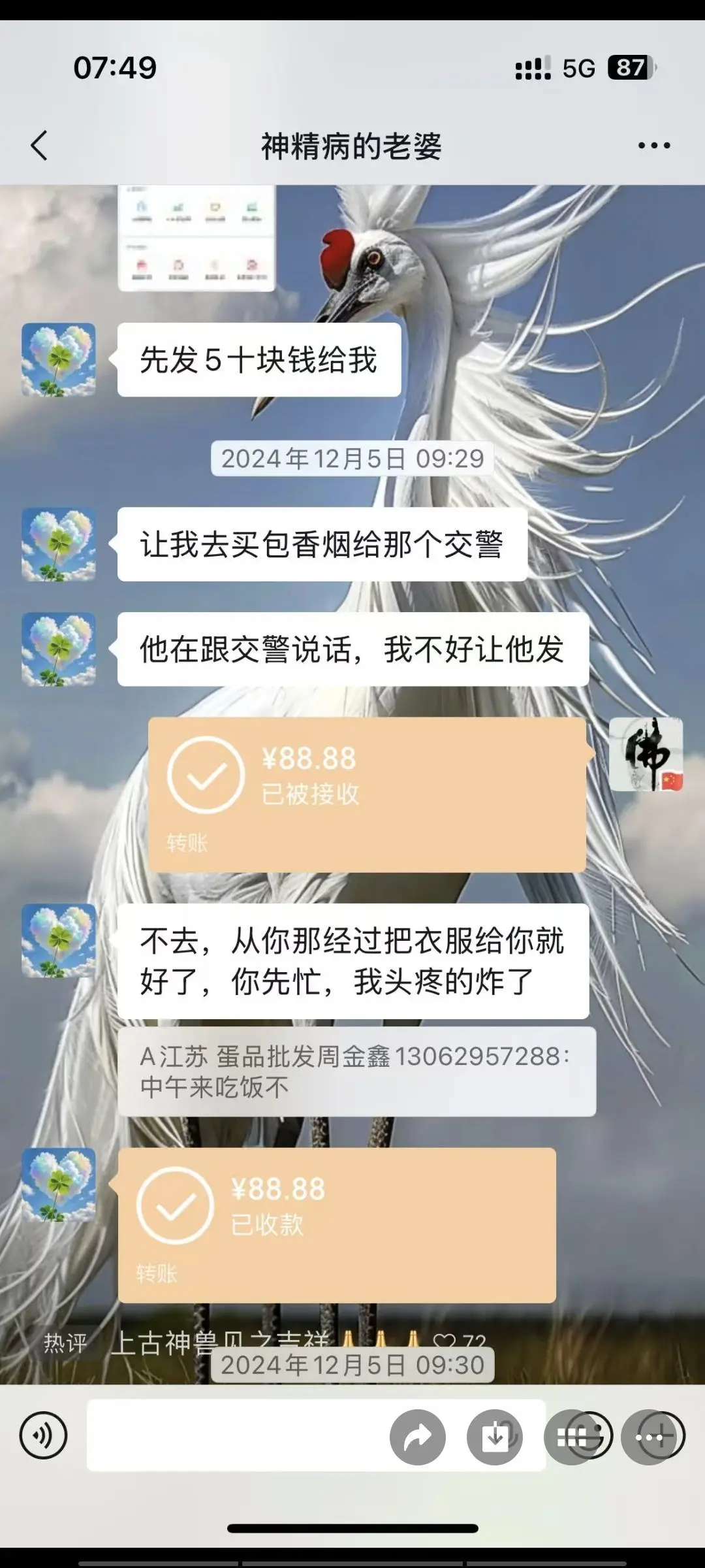愿一世琉璃，懂你悲喜主播图片