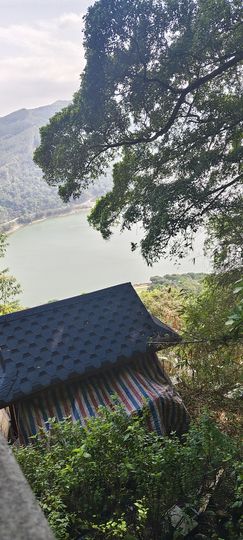 雨桐爱🎤🎤🎤的图片