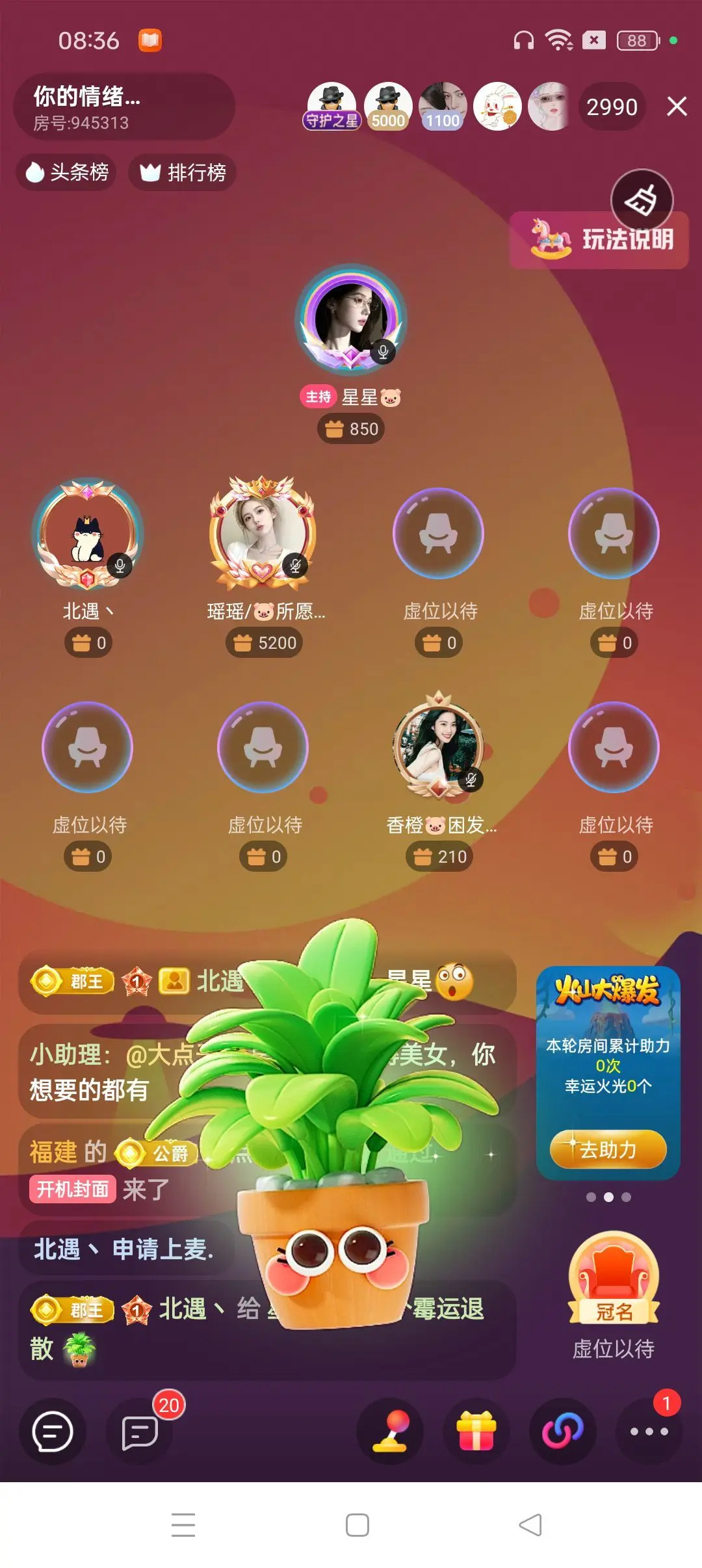 星星🐷主播图片