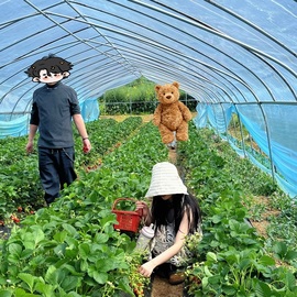 小青青越来越好!主播照片
