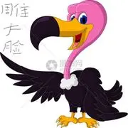 大脸穿粉红👌说讨厌