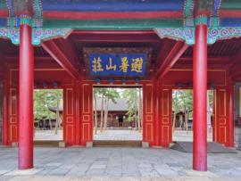 萌新宝宝chblld的图片