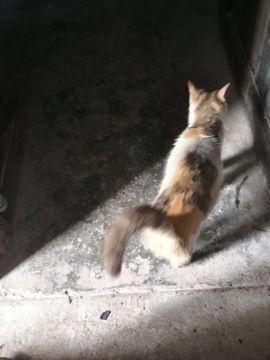 123456813的图片