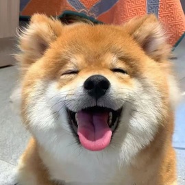 新来的抱抱馨💌的图片