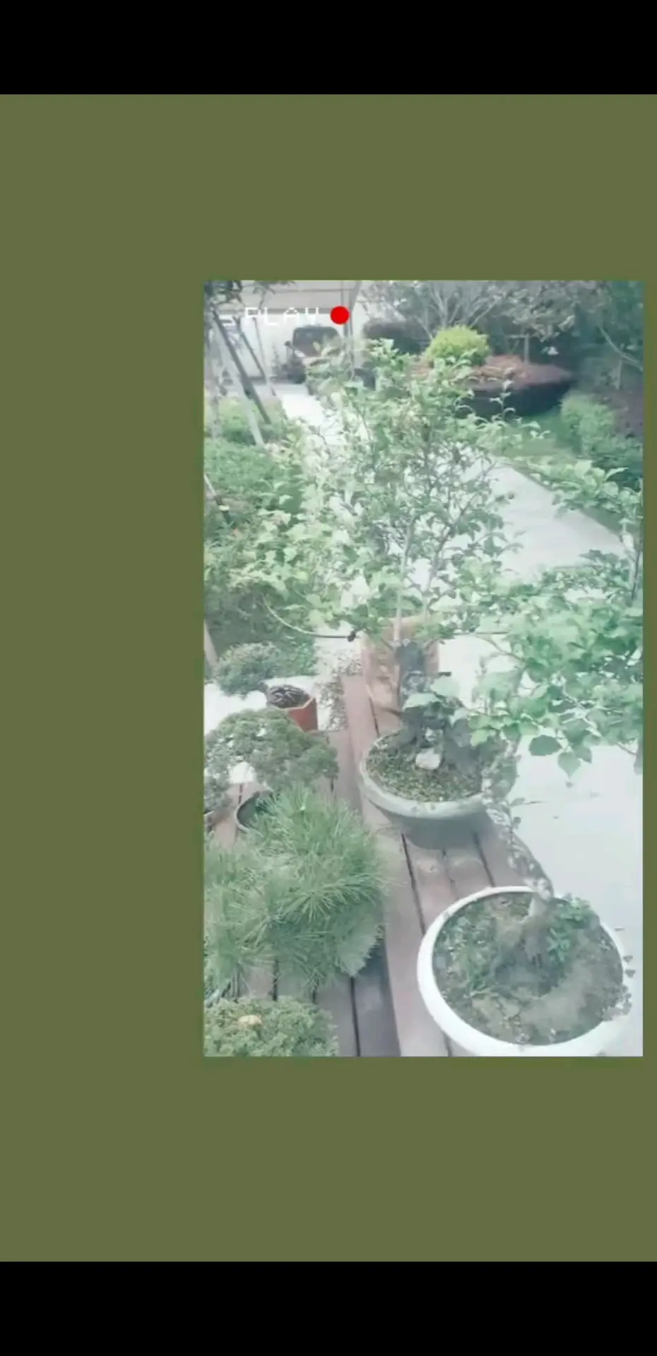 生活细碎，万物可爱，