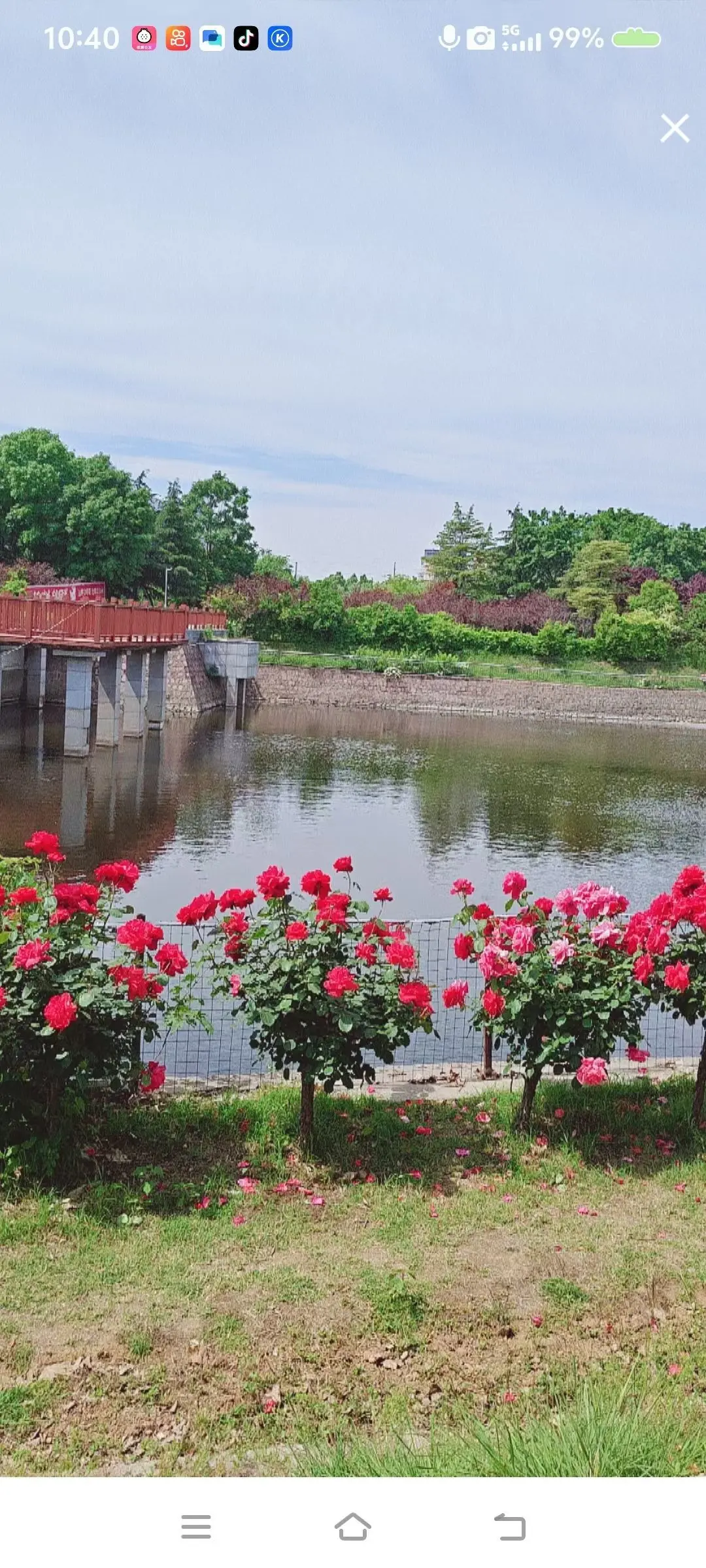小芳🌸努力版的主播照片
