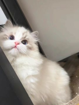 ☆诺熙💞很甜主播照片