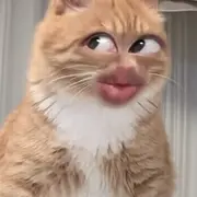 西边的铜钱