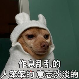 安二狗🐶的图片