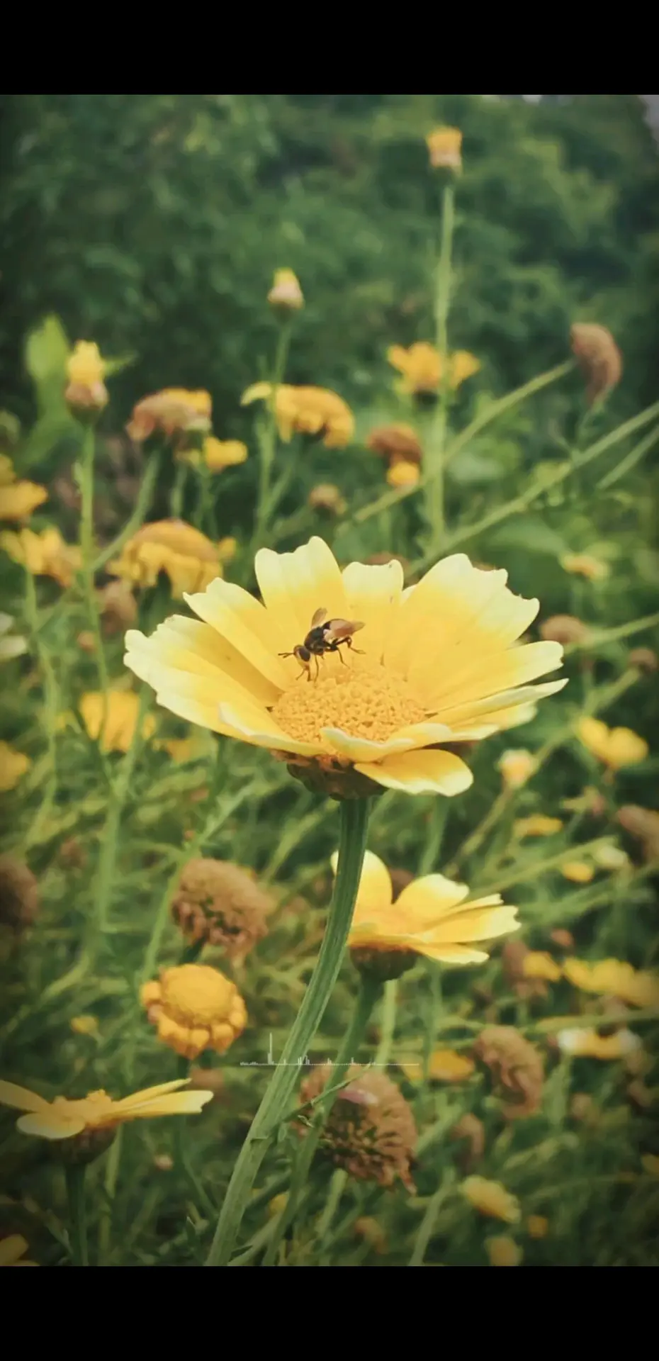 小蜜蜂🐝知道辛苦嘛！