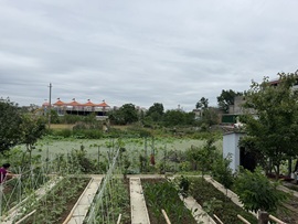 🍀冰雪❤️暂不连麦的图片
