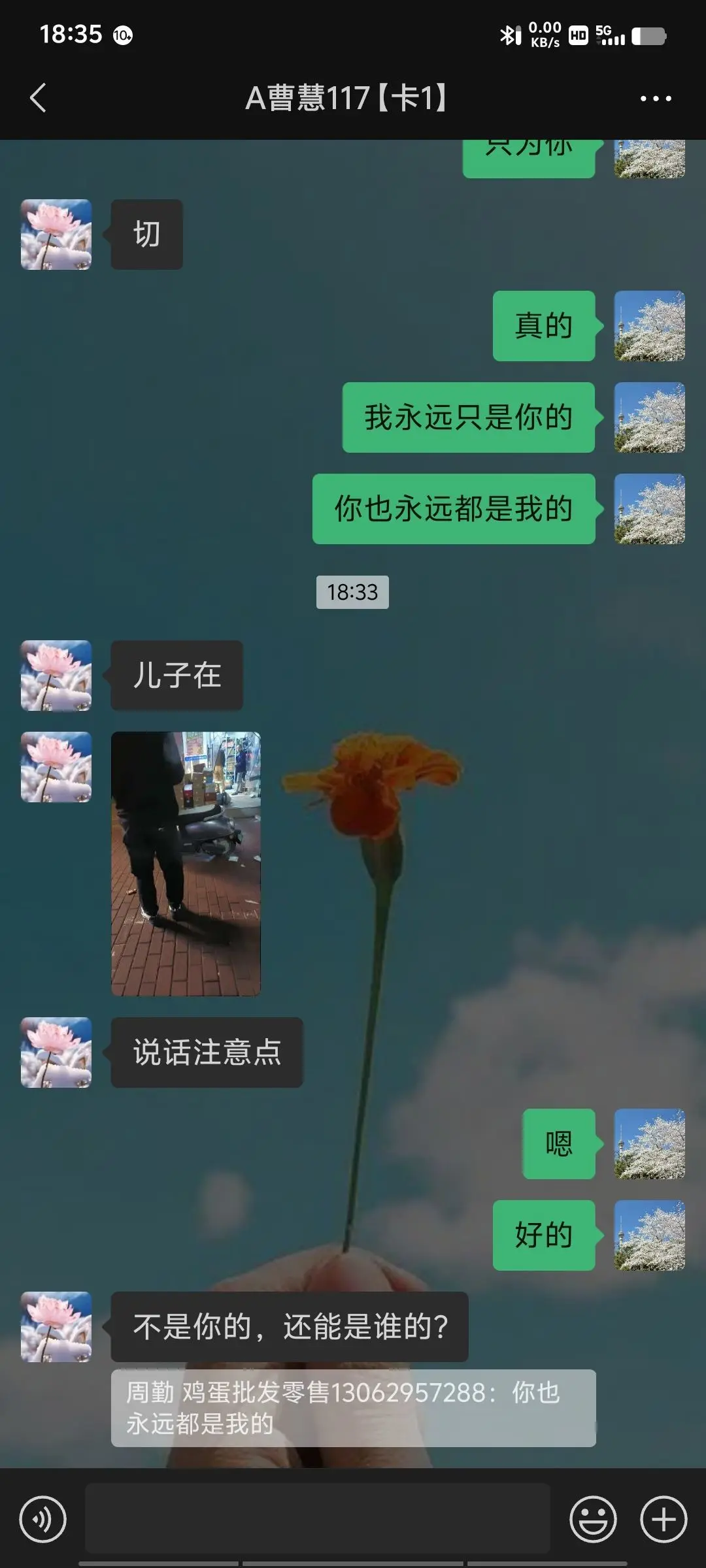 愿一世琉璃，懂你悲喜主播图片