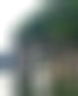 晴宝19号生日庆的主播照片
