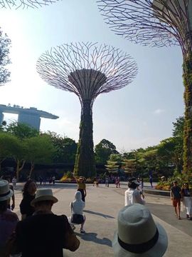騷★年的图片
