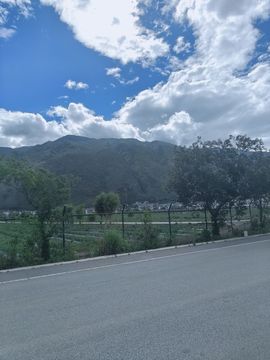 小白菜bnd的图片