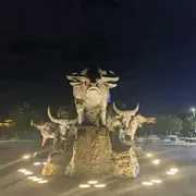 蒙着耳多
