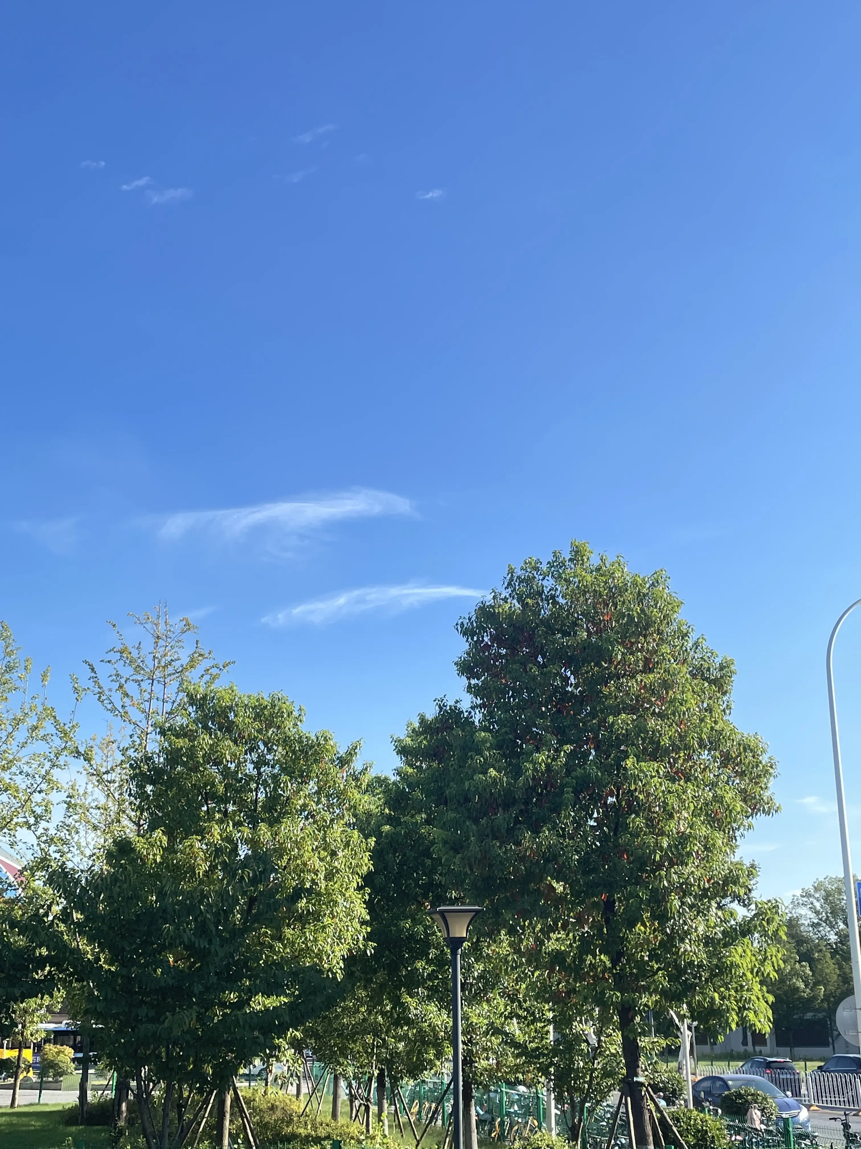 ღ柳柒柒昭禾见月✨的主播照片
