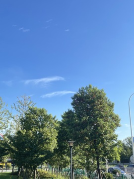 ღ柳柒柒昭禾见月✨主播照片