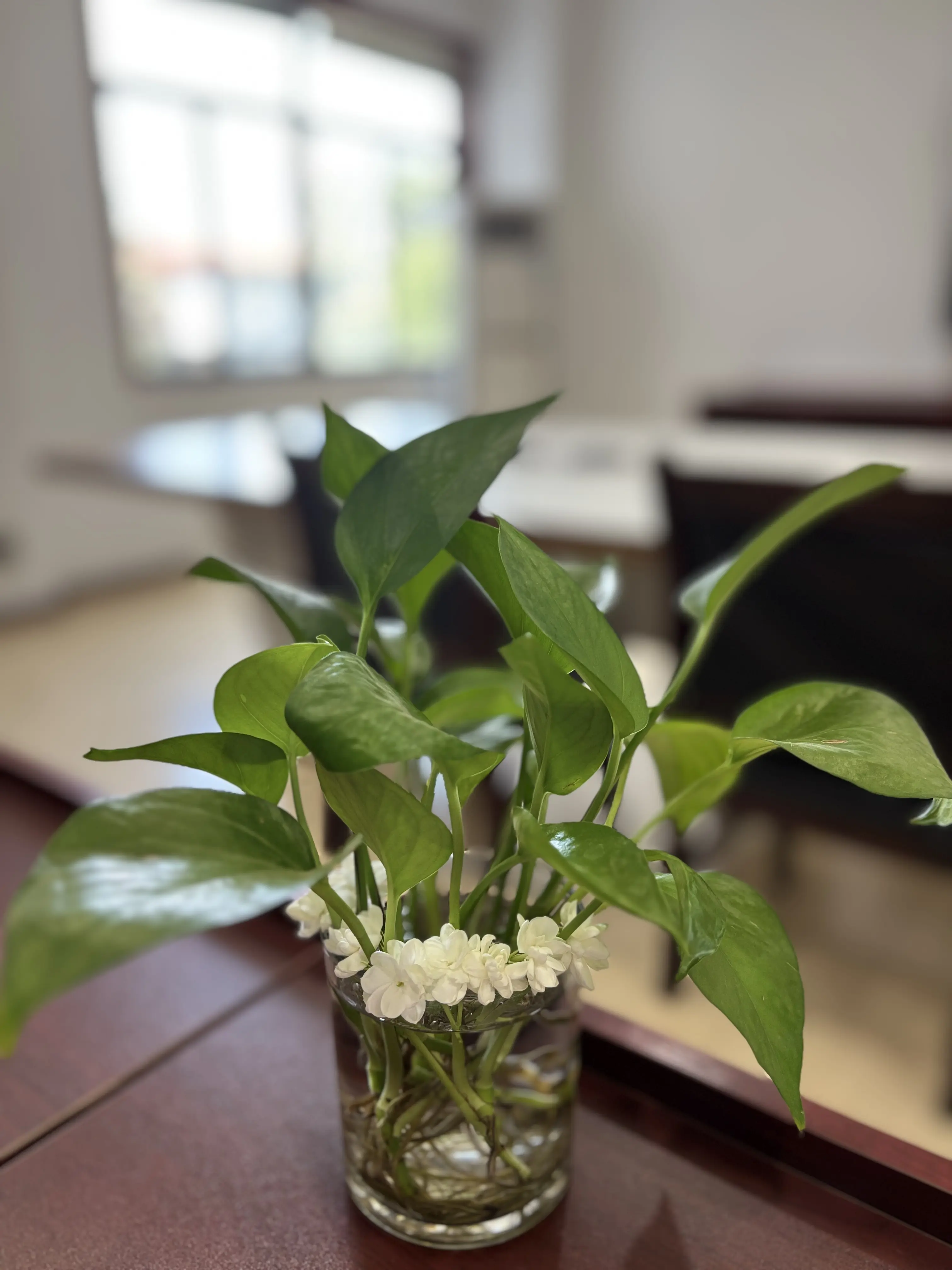 ღ柳柒柒昭禾见月✨的主播照片