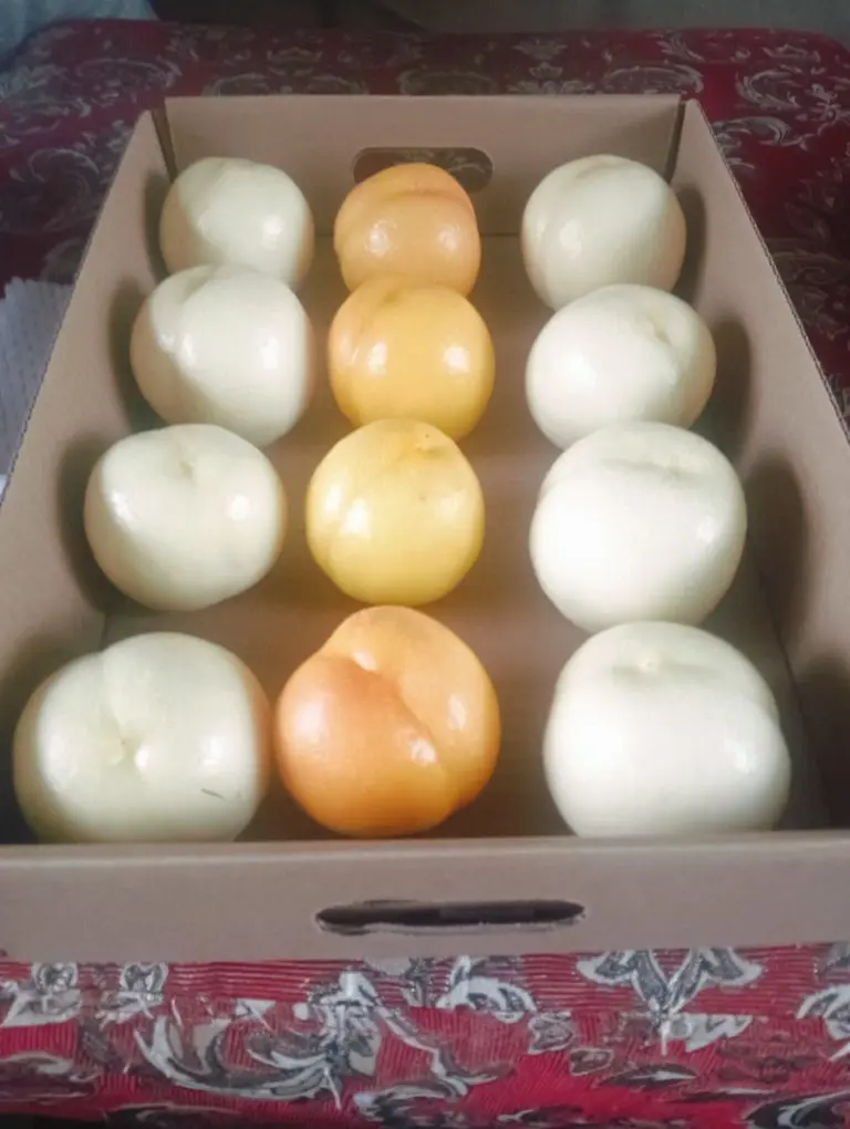 桃园帅哥主播图片
