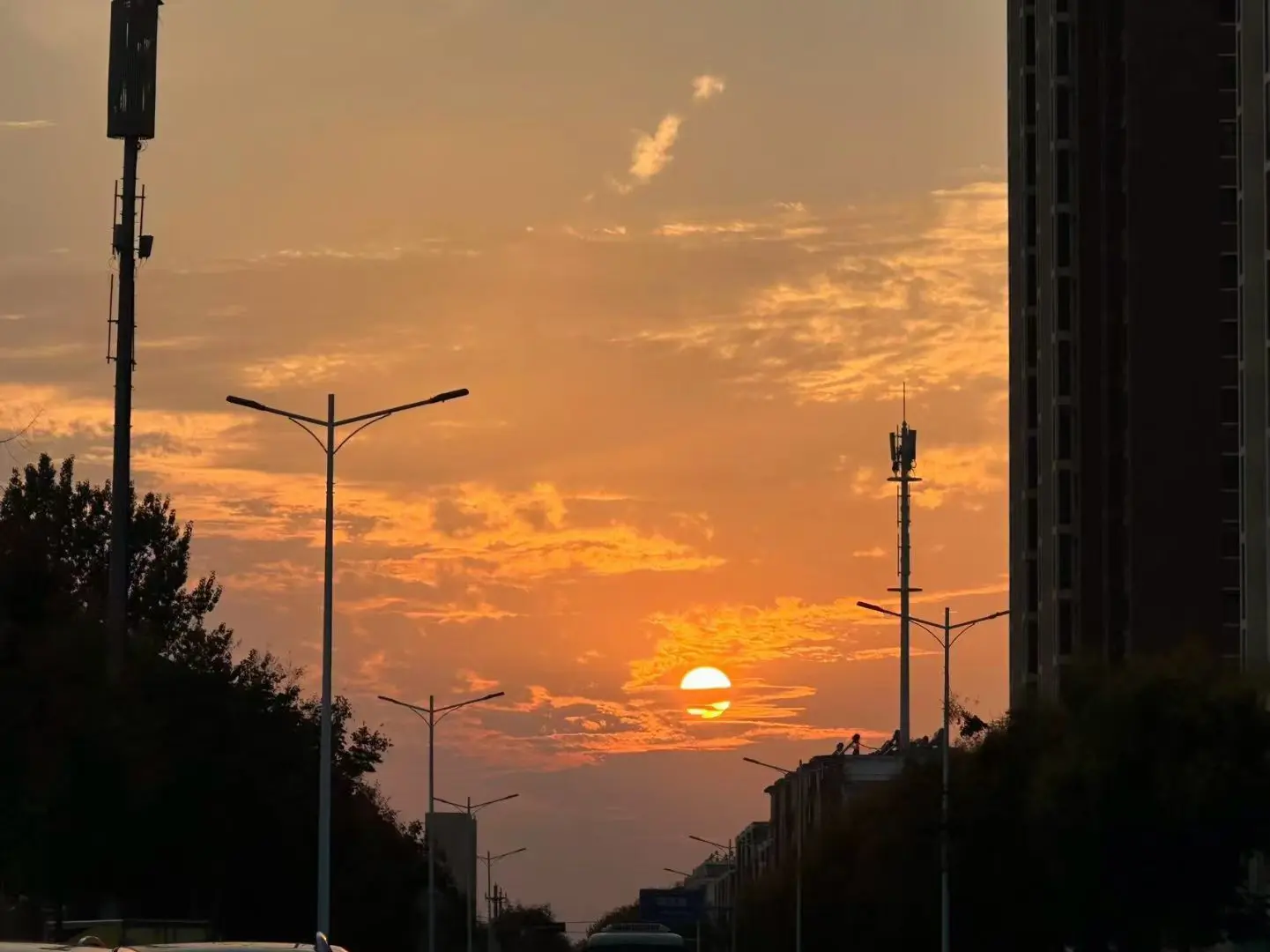 念念念念念念念念念主播图片