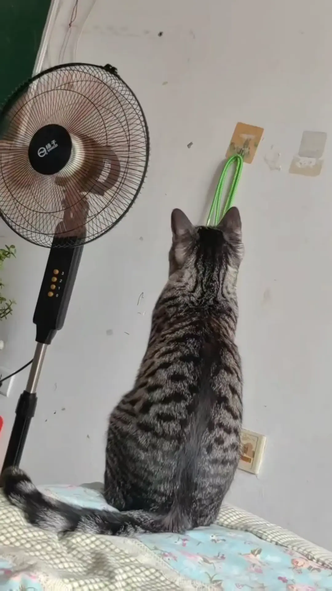 到降温的季节了！看视