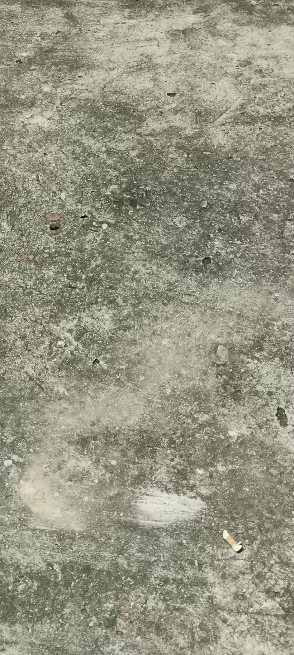 在门口偶遇一只打转好