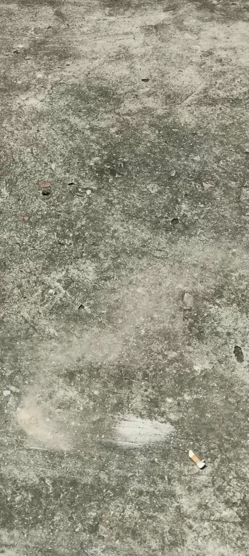 在门口偶遇一只打转好