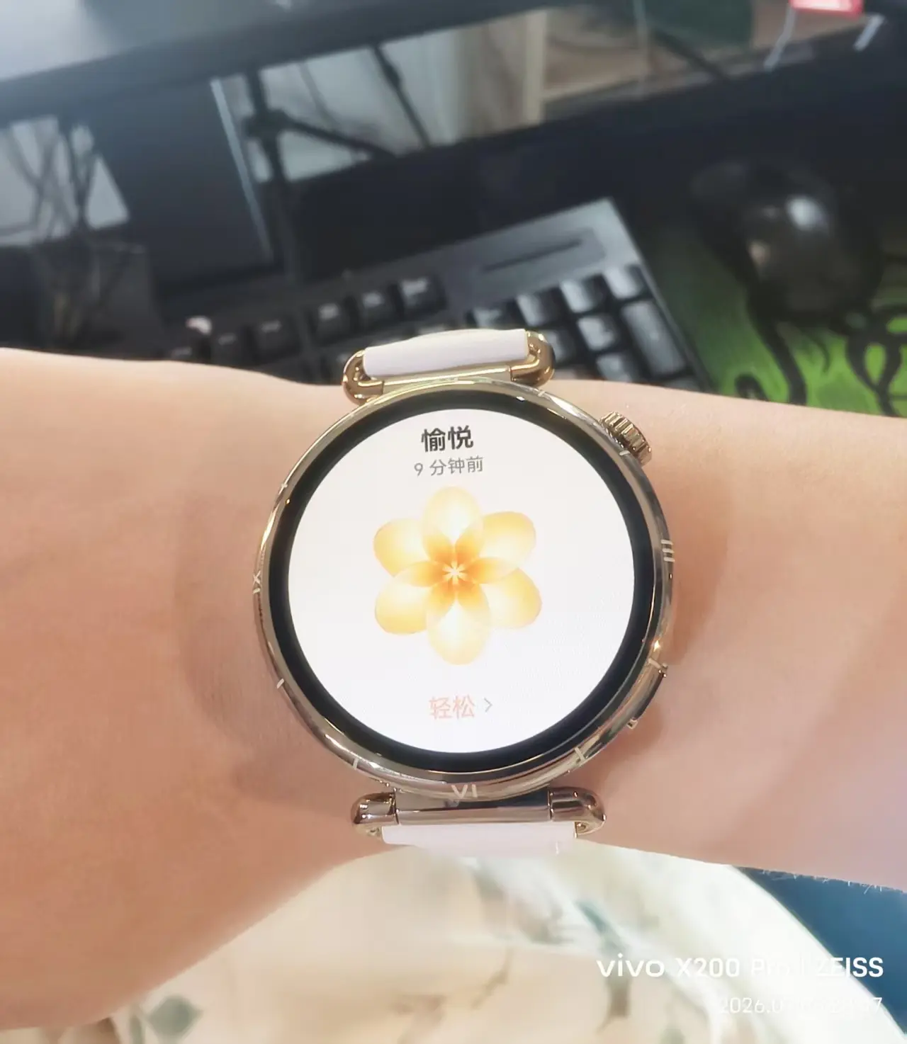 苏静好♬♪的主播照片
