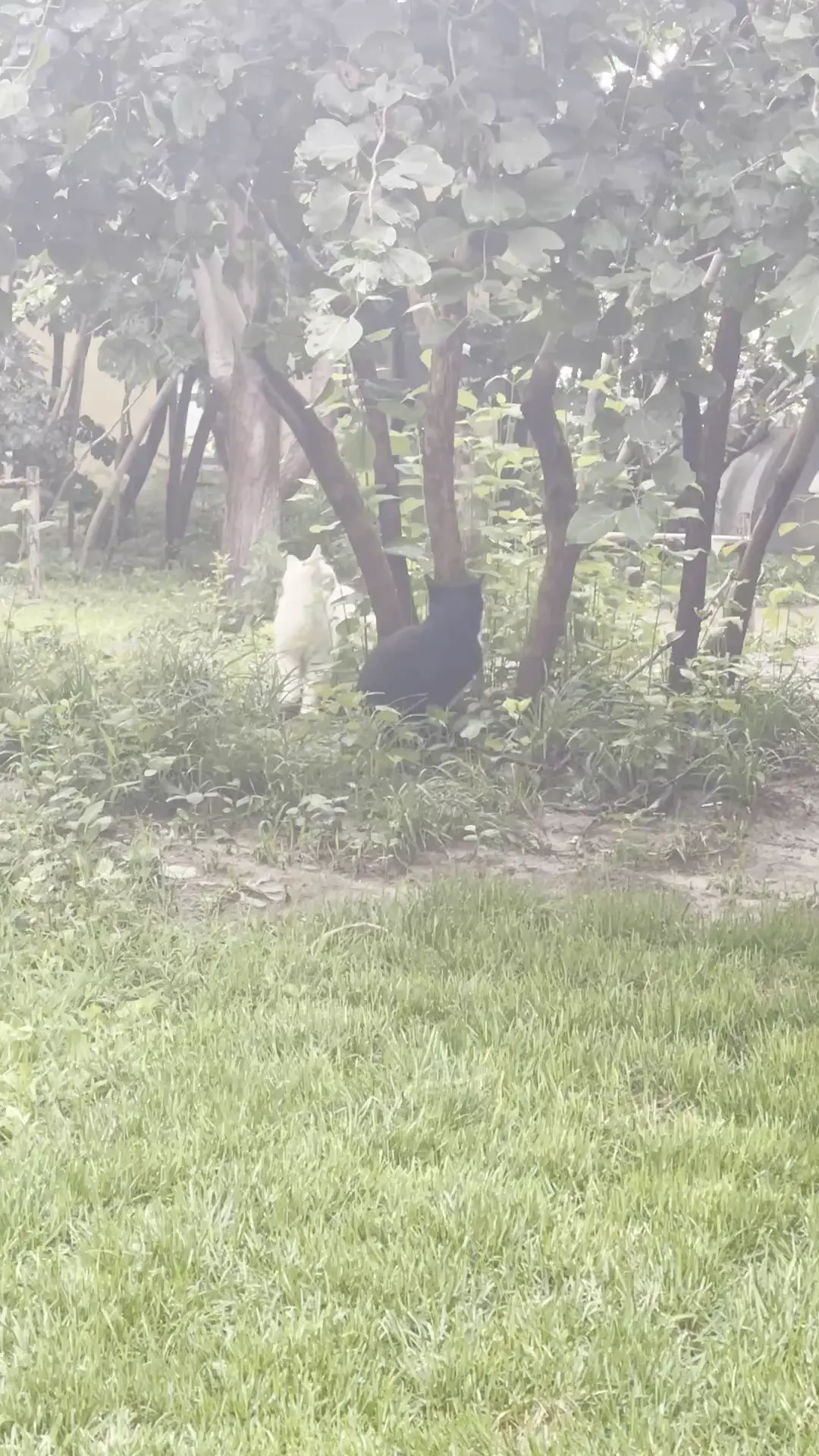 这样好吗😂我觉得混的
