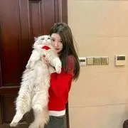 新人~困困.