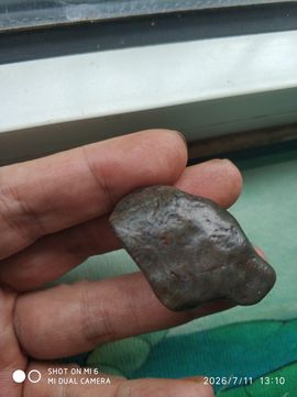 杀止若的图片