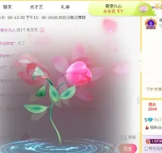 萌新白小糖主播图片