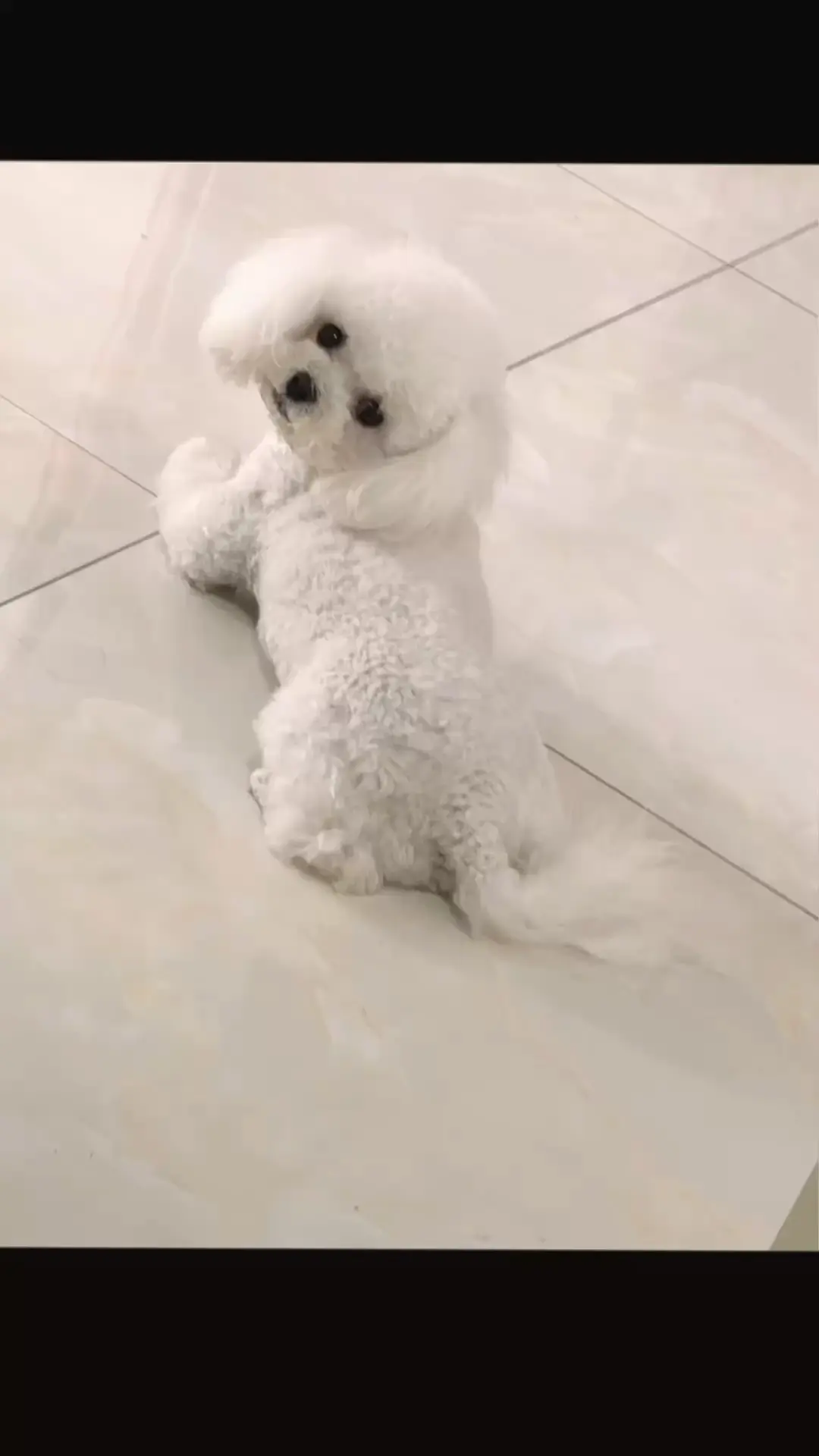 我的小可爱