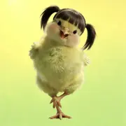 66号待宰小鸡