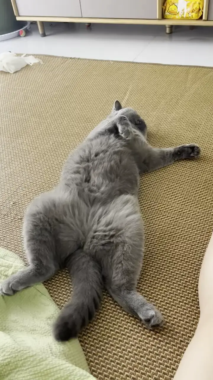 此刻的我