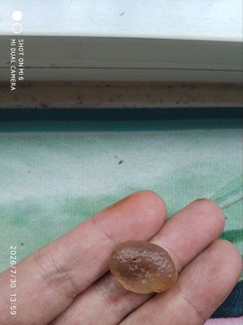 杀止若的图片