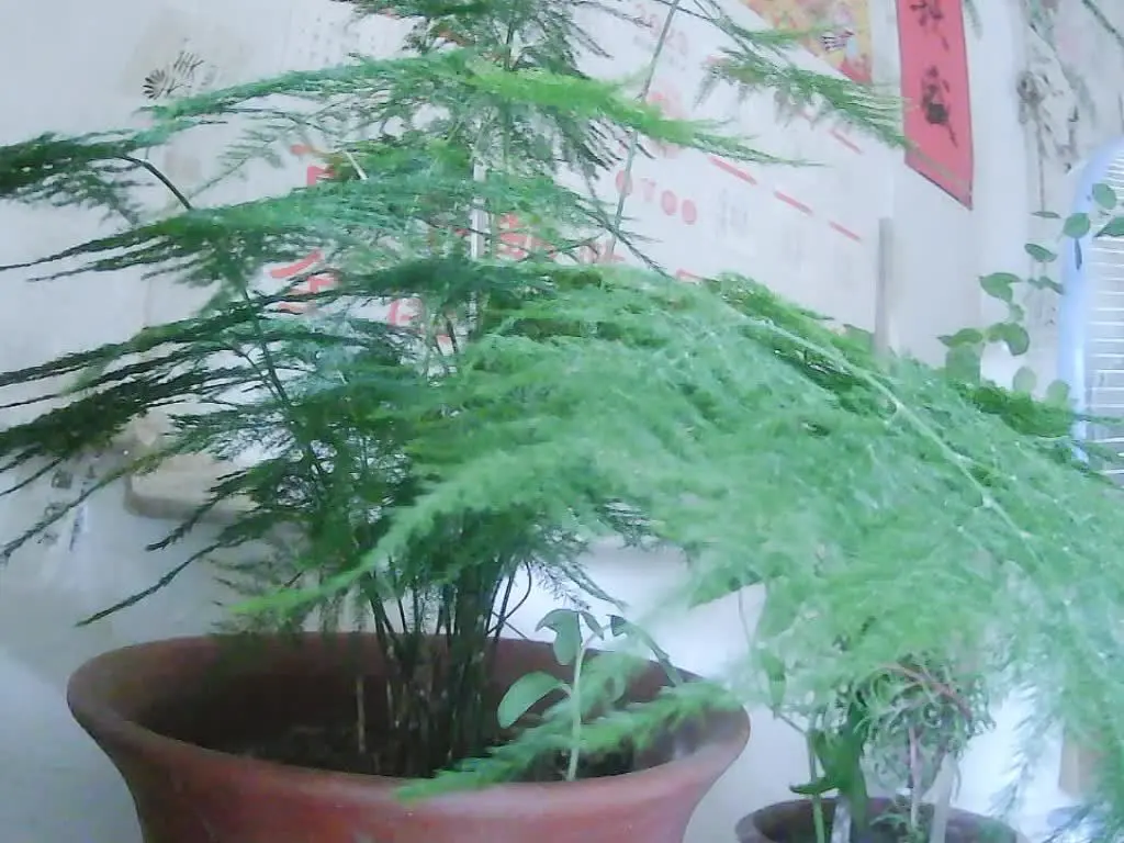 闲的难受唱歌哈哈
