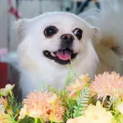 杰少丶最近不刷了海报