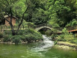 天王盖地虎虎044的图片