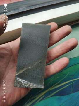 杀止若的图片