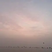 ，，，。。。。。，
