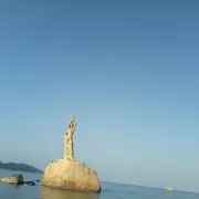 萌新宝宝96584