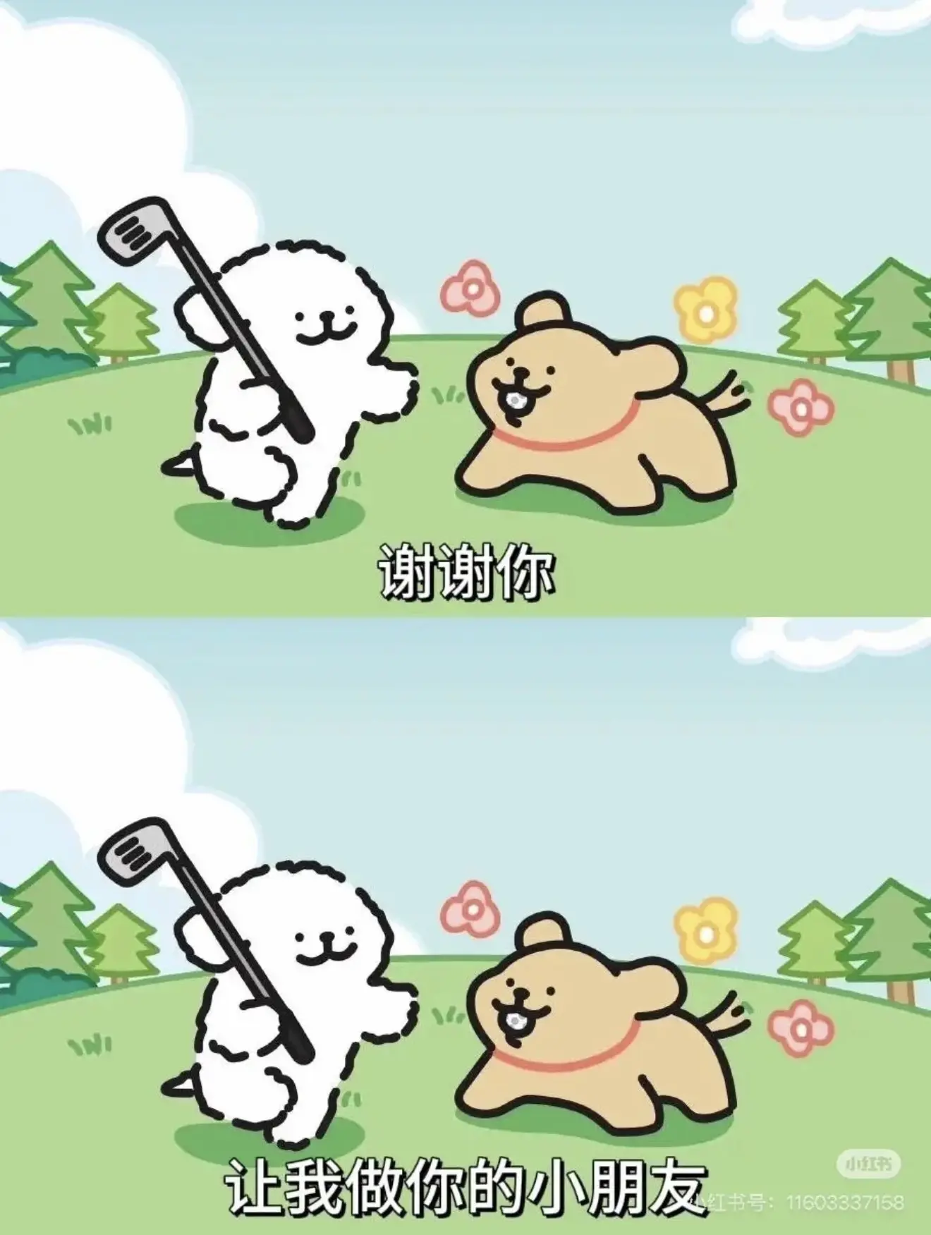 袁舟舟舟主播图片