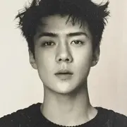 蛋挞的仆人