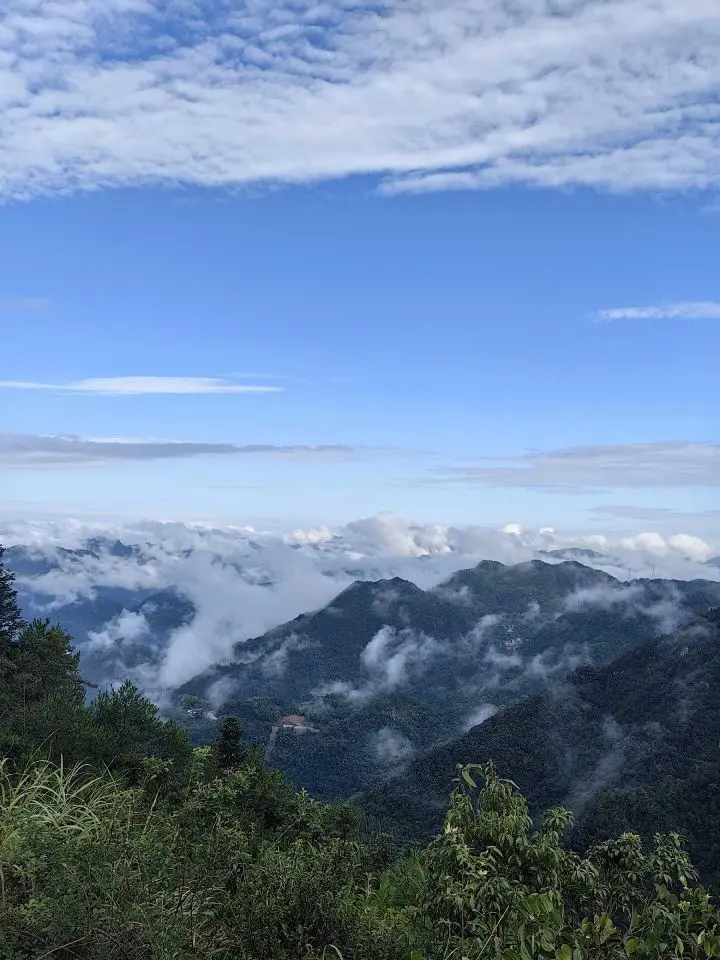 天王盖地虎虎044主播图片