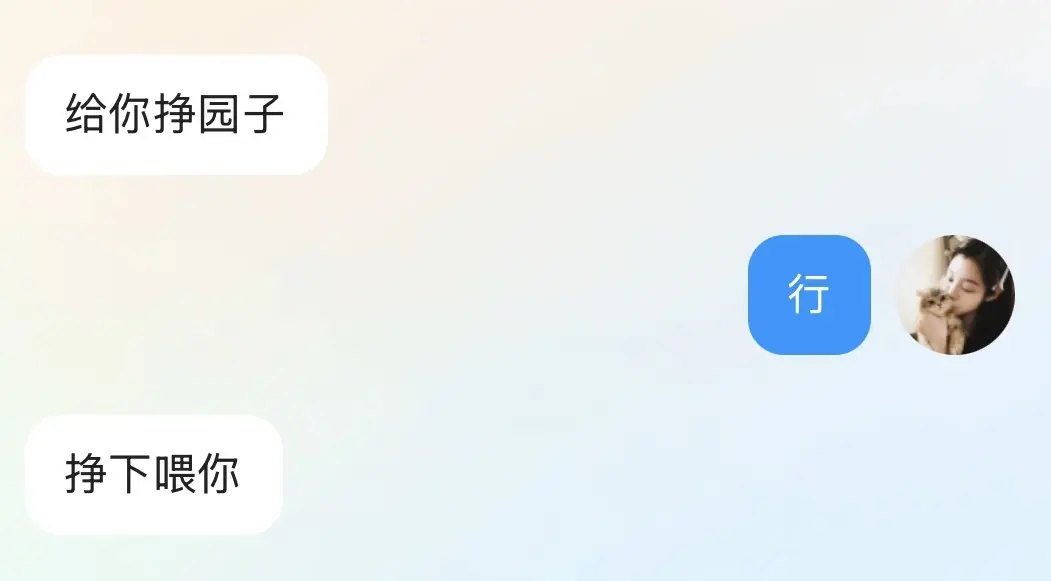 欣欣子。的主播照片