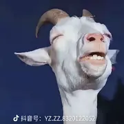 36℃5权游